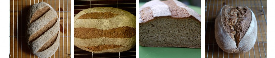 Bread composite