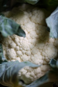 cauli close up cauli close up