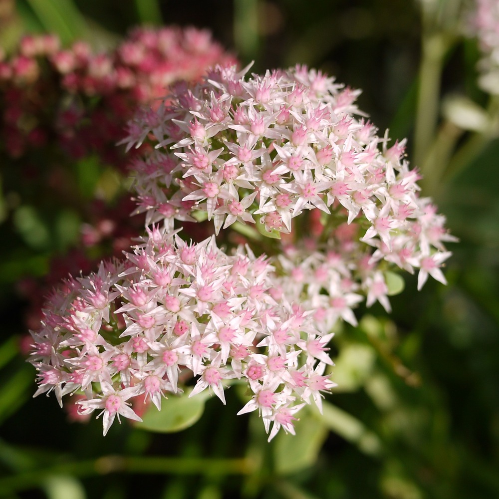 1e034-p1040382_2-scaled1000