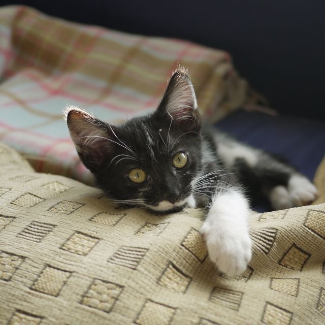 93f68-p1030474_2-scaled1000