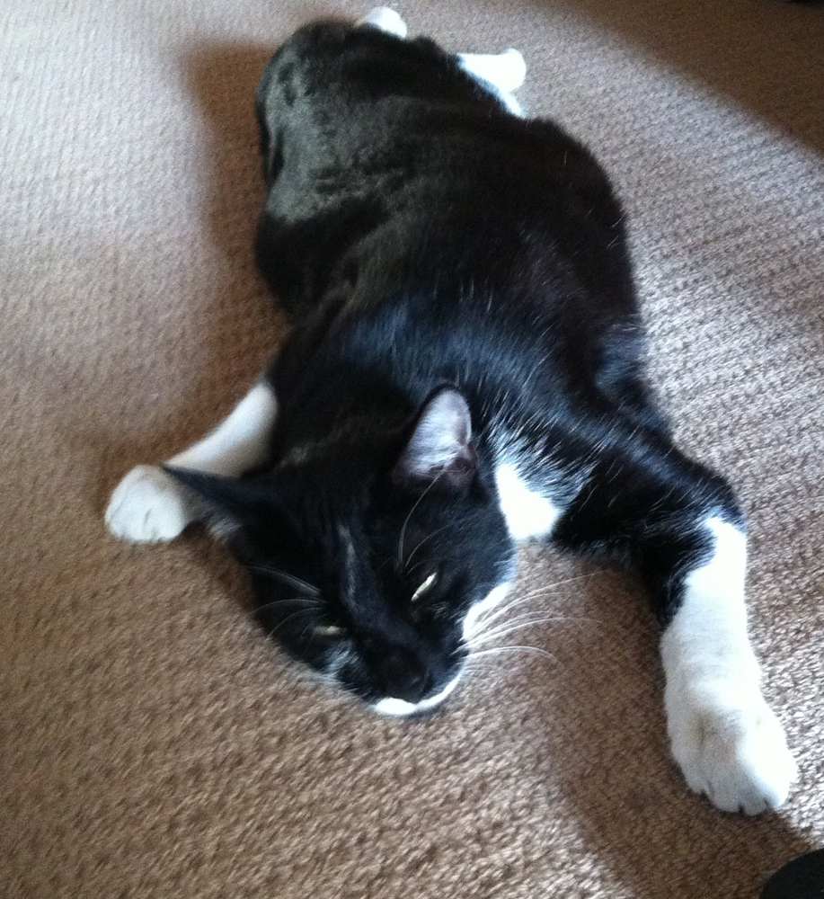 a742c-img_1674-scaled1000