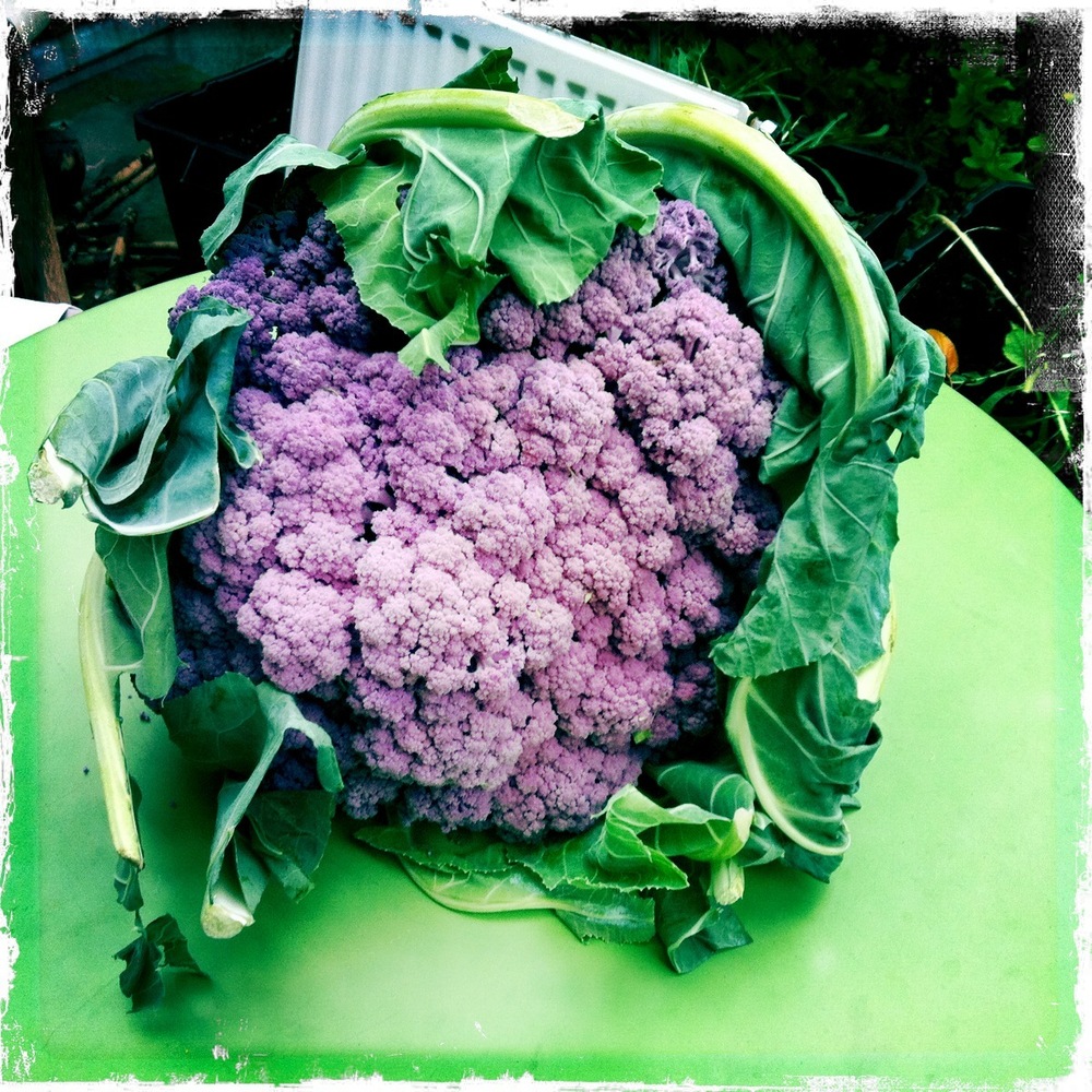 c4866-img_1622-scaled1000