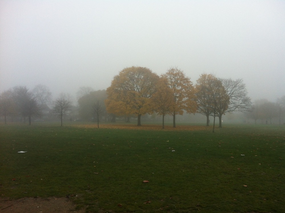 e84b7-img_2242-scaled1000