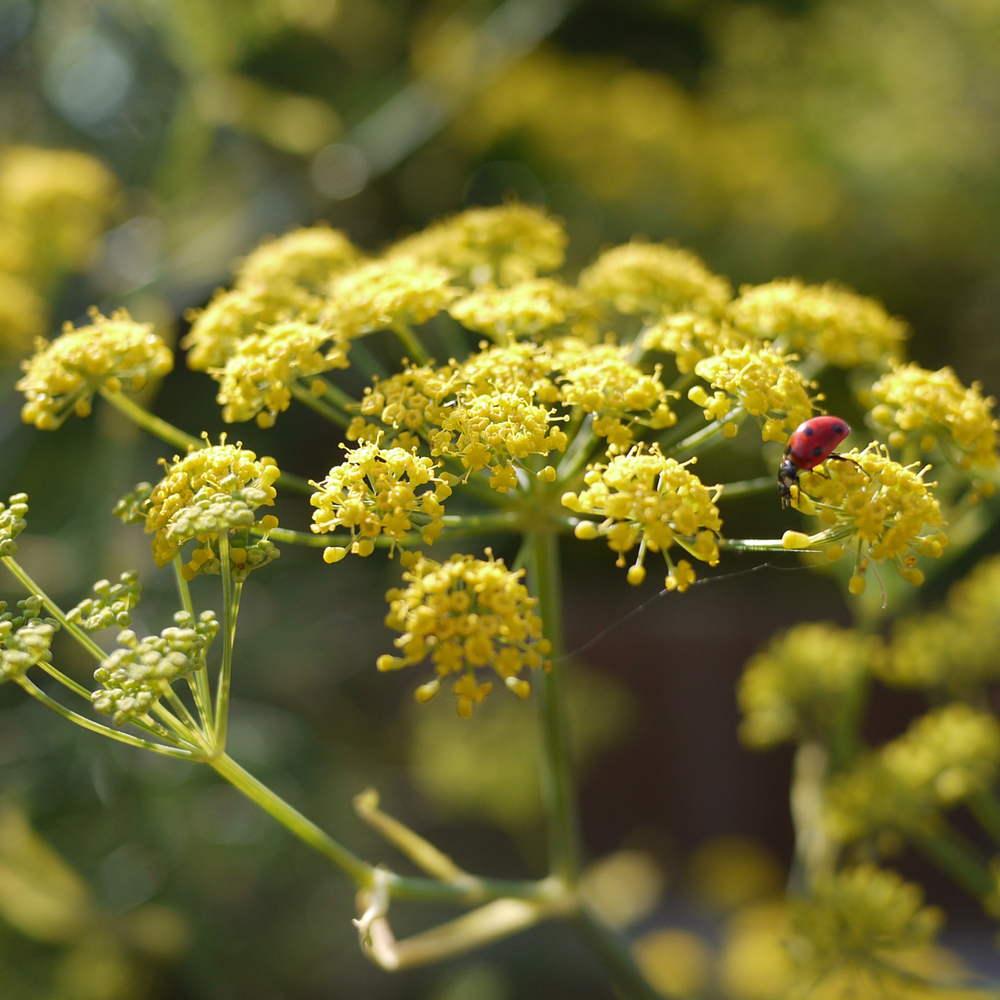 ee648-p1030985-scaled1000