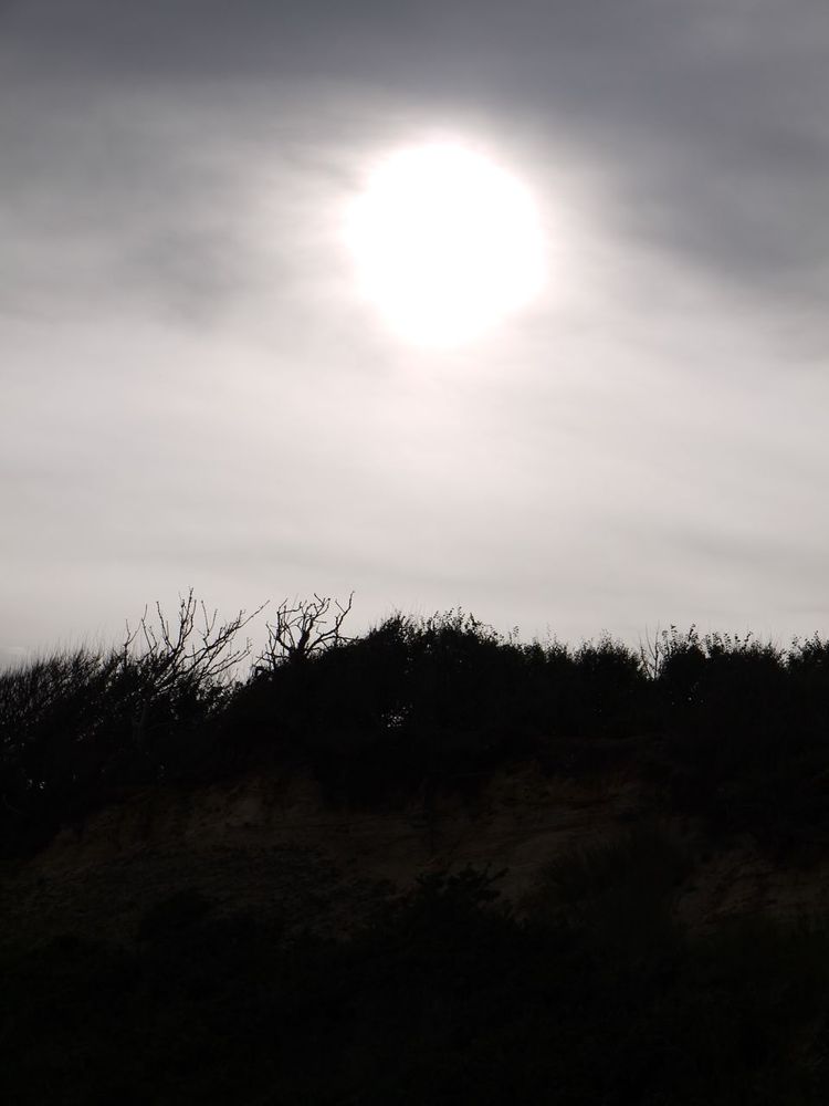 f4ae6-p1040257-scaled1000